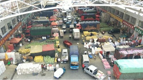 中国供销集团携手琳龙物流 构建现代化农村物流体系，助力乡村振兴