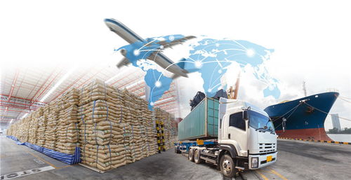 FBA后端派送几近瘫痪？琳龙物流揭示真实行业现状与应对