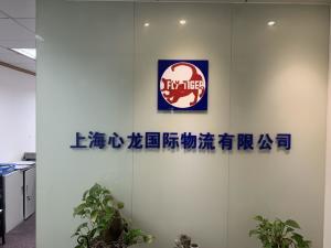 上海心龙国际物流与琳龙物流 双龙出海，引领国际物流新篇章